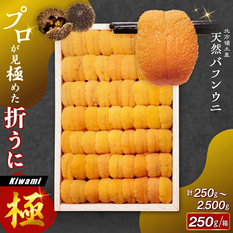 【ふるさと納税】【内容量が選べる】≪プロ厳選≫ 最高級折うに (極) 250g～2500g 無添加 安心 安全 食品 うに丼 海鮮 海産物 魚介 人気 おすすめ プレゼント おつまみ 寿司 パスタ 軍艦 トッピング ギフト 贅沢 北海道 浜中町 送料無料