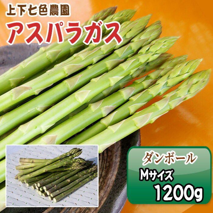 【ふるさと納税】No.1096 上下七色農園 アスパラガス　Mサイズ　ダンボール（1.2kg） ／作物 アスパラ プレゼント お中元 送りもの 野菜 送料無料 広島県