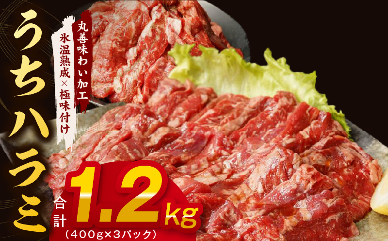 mrz0252 【希少部位】牛肉 うちハラミ 1.2kg 小分け 400g×3P【氷温熟成×特製ダレ 味付き 牛肉 訳あり 不揃い 焼肉 BBQ 野菜炒め】