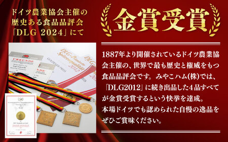【ドイツで金賞受賞！】ベーコン ブロック 2Kg 《豊前市》【みやこハム】肉 豚肉 ベーコン 金賞 [VAN011]