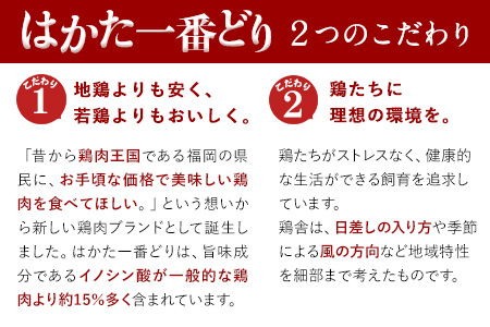 ふるさと納税 はかた一番どり 手羽元 4500g 合計4.5kg 約300g×15パック《30日以内に出荷予定(土日祝除く)》 大容量 鶏肉 鳥肉 冷凍 送料無料 株式会社あらい