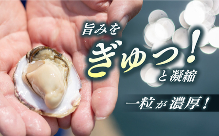 【期間限定！】 養殖カキ 五島小町　生食用 養殖 牡蠣 かき 殻付き 約1.3kg　約25個入　【五島オイスター】[RCN001]