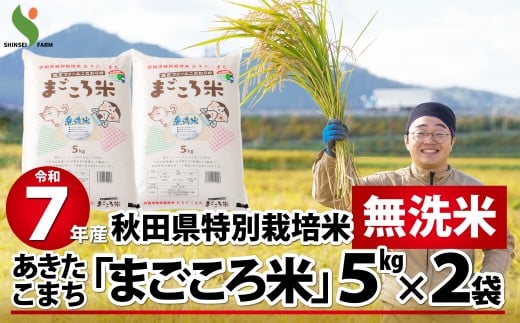 令和7年産秋田県特別栽培米あきたこまち「まごころ米(無洗米)」10kg 150P9203　/ 米 無洗米 10kg あきたこまち 令和7年産 特別栽培米 まごころ米 秋田県 お米 弁当 おにぎり 大館 東北 秋田 小分け こわけ 大館市 10キロ 10ｷﾛ 10きろ