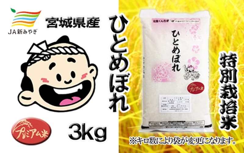 元気くん市場　ひとめぼれ  3kg /  精米 小分け 人気 ランキング  お米 米 つや姫【mygs006】