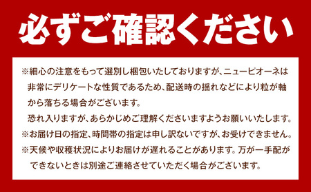 【2026年先行予約】ご家庭用 岡山県産 ニューピオーネ 約1.2kg 2-3房 晴れの国 おかやま館(つむぐ株式会社)《2026年8月下旬-10月上旬頃出荷》岡山県 浅口市 マスカット ぶどう 葡萄