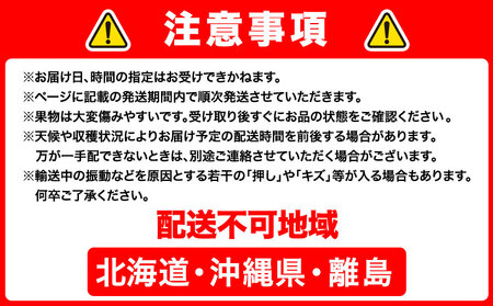 【2026年発送】シャインマスカット晴王 1房 株式会社山博(中本青果) マスカット