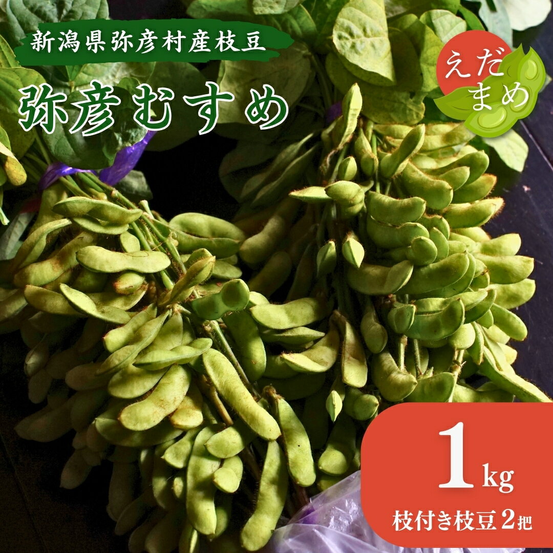 【ふるさと納税】《先行予約》 初夏の香をお届けします。弥彦村産「弥彦むすめ」枝付き枝豆 2把(約1kg) | 新潟県ブランド枝豆 枝付き枝豆 新鮮 弥彦村特産 特産品 枝豆 野菜 おつまみ えだまめ 新潟県産