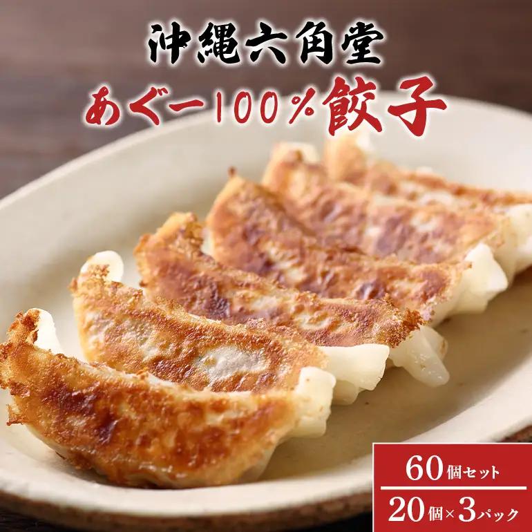 餃子 60個 ( 20個 × 3パック ) セット あぐー 沖縄