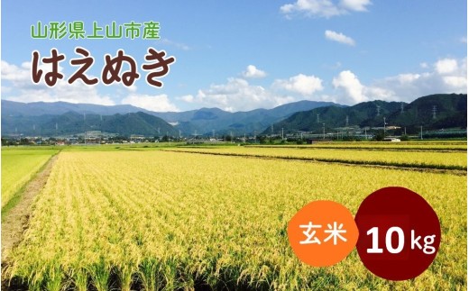 【2026年11月～発送】令和8年産 山形県産 米 はえぬき (玄米) 10kg 0079-2644