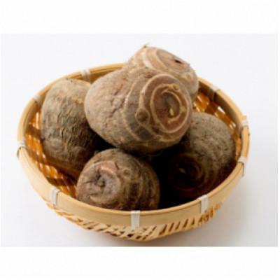 ふるさと納税 小矢部市 【毎月定期便】里芋「縄文の里芋」5kg全2回