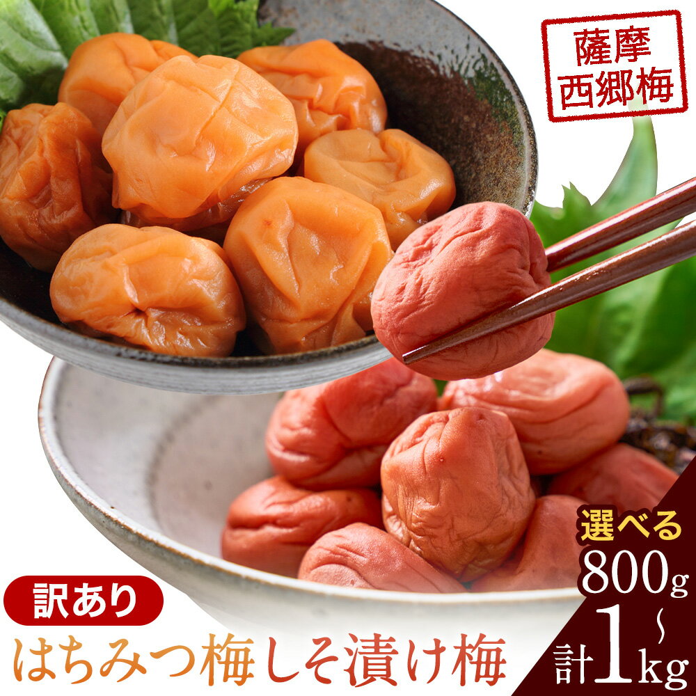 【ふるさと納税】訳あり 薩摩西郷梅 はちみつ梅 しそ漬け梅 食べ比べセット 選べるお届け内容 800g 計1kg 薩摩西郷梅生産組合《30日以内に出荷予定(土日祝除く)》鹿児島県 さつま町 梅干し 梅 訳アリ 食べ比べ セット 鹿児島県ふるさと認証食品
