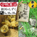 【ふるさと納税】 新米 令和6年産 銀河のしずく 精米 合鴨農法 武田家のお米 特A 5kg 10kg 20kg 送料無料 白米 米 あい鴨 カモ アイ鴨 鴨 アイガモ 選べる 5キロ 10キロ 20キロ 国産 美味しい 少量 産地直送 農家直送 ご飯 白飯 おにぎり 単一原料米 岩手県産 岩手県 滝沢市