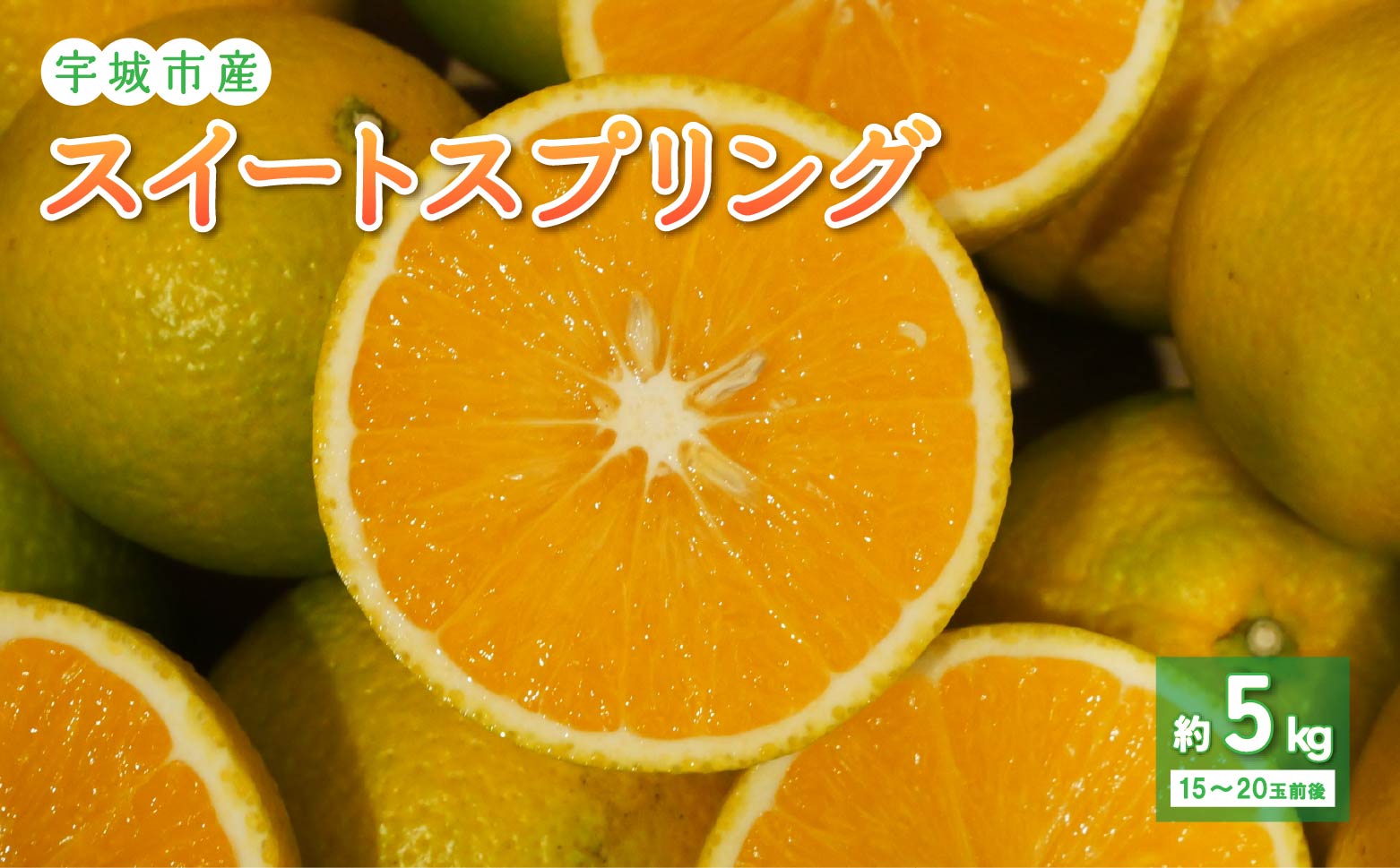 先行予約 特別栽培 スイートスプリング 約5kg (15〜20玉前後) 【2026年11月下旬から2027年2月下旬発送予定】 柑橘 フルーツ 果物 くだもの 熊本県産 九州産 国産 送料無料 のむちゃん農園