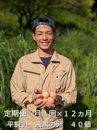 
定期便 １２ヶ月 美味しい 平飼い 飛鳥の卵 ４０個 冷蔵 月１回 ／ 古都 風雅 ファーム ふるさと納税 たまご 玉子 鶏 卵 取り寄せ 新鮮 生食 安心 安全 健康卵 飛鳥 チルド 奈良県 宇陀市
