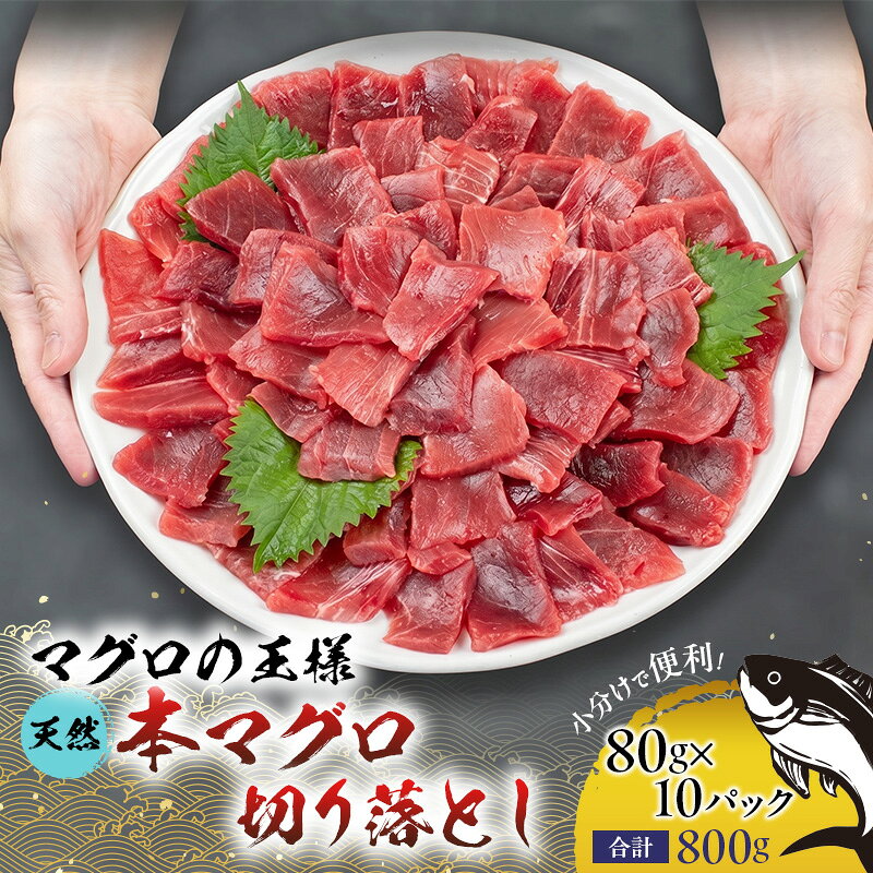 【ふるさと納税】天然本マグロ 切り落とし 800g（80g×10パック） 天然 本マグロ 本まぐろ お刺身用 自然解凍OK 自然解凍 小分け 鮪 刺身 海鮮丼 手巻き寿司