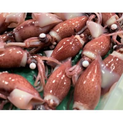 ふるさと納税 滑川市 カネツル砂子商店のボイルほたるいか　460g