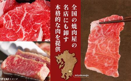 【黒毛和牛】切り落とし1.5kg(250g×6パック)≪みやこんじょ特急便≫_MJ-I903-Q_(都城市) 牛肉 国産黒毛和牛 外モモ ウデ マル バラ モモ ブリスケ 切り落とし 250g×6パッ
