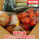 【ふるさと納税】高根沢産旬の野菜BOX