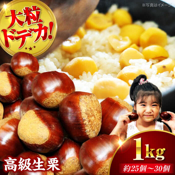 【ふるさと納税】【先行予約】【9月下旬から配送開始】ドデカ 生栗 1kg（ 約 75 個 〜 90 個 ） | 人気 おすすめ ランキング おいしい 甘い 大洲市/有限会社西山青果 [AGAR004] 10000 10000円 以上