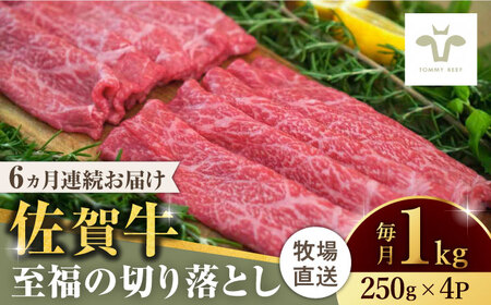 【全6回定期便】佐賀牛至福の切り落とし 計6kg（250g×4袋×6回） / 佐賀県 / 有限会社佐賀セントラル牧場 [41ASAA023]