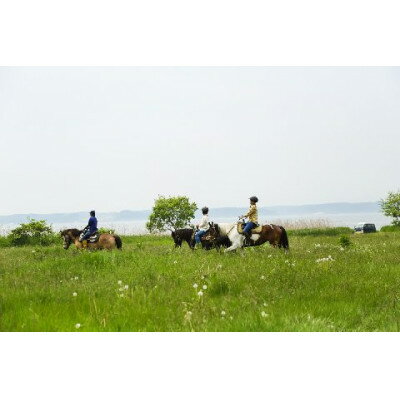 【ふるさと納税】青森県三沢市　乗馬トレッキング(小川原湖トレイル)1名様120分【1681399】