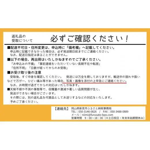 ピオーネ 約2kg 3～4房 岡山県新見市 山田ぶどう園 【先行予約 2026年9月上旬から順次発送】