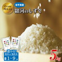 【ふるさと納税】無洗米 精米 選べる 定期便 ★令和6年産★ 特A受賞 岩手県産 おこめ【銀河のしずく】 5kg 単品 2ヶ月 3ヶ月 6ヶ月 9ヶ月