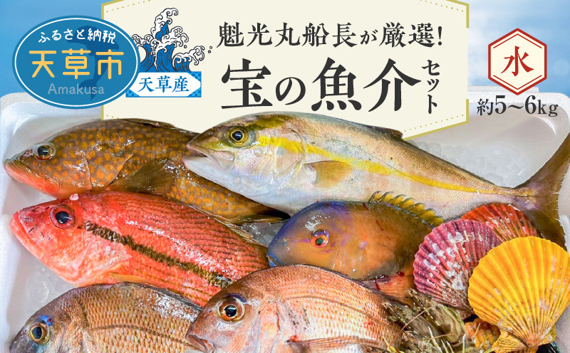 
S010-070_【魁光丸船長が厳選！】天草産 宝の魚介セット(約5～6kg)【水】
