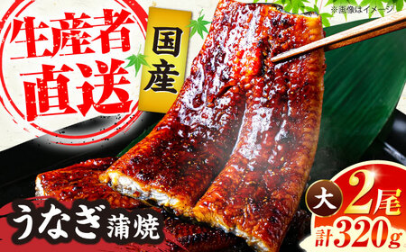 国産 うなぎの蒲焼大2尾 160g以上×2尾 320g [VAD002]