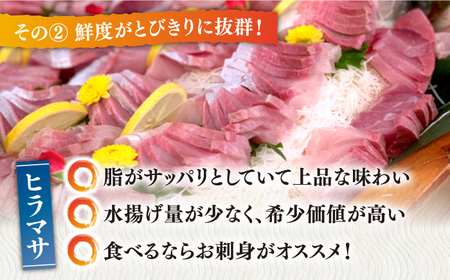 ヒラマサ 半身 平戸なつ香 ヒラス 約1kg【（株）坂野水産】[KAA207]/ 長崎 平戸 魚介類 魚 ヒラス ひらす 内臓処理済 レシピ ヒラマサ ひらまさ 刺身 たたき 刺身 塩焼き 刺身 漬け