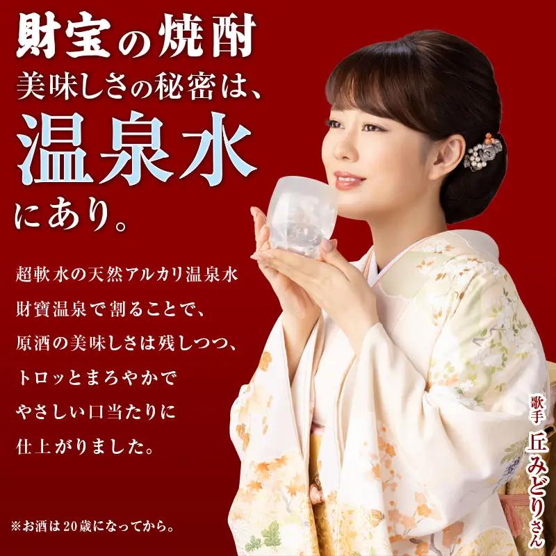 麦焼酎 紙パック 2本『黒日々是（麦）』温泉水仕立ての焼酎 KN021-009-01 酒 アルコール
