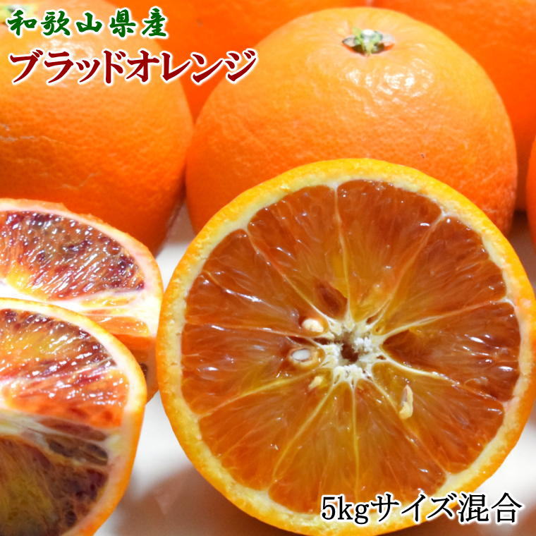 【ふるさと納税】【希少・高級柑橘】国産濃厚ブラッドオレンジ「タロッコ種」約5kg ※2027年4月上旬～5月上旬頃に順次発送【tec968】