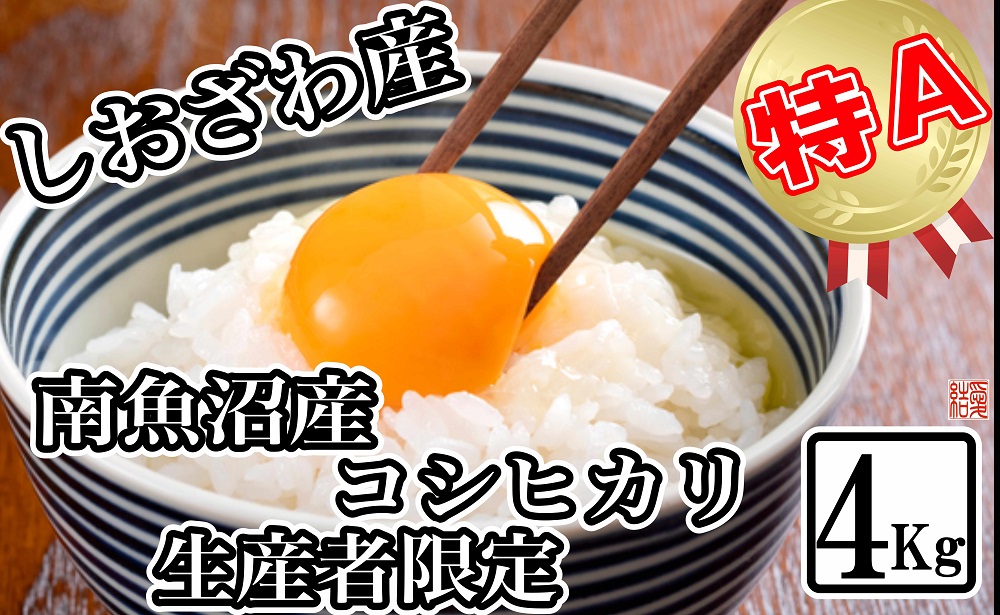 【令和7年産】【生産者限定 契約栽培】南魚沼しおざわ産コシヒカリ4kg【2025年10月上旬より順次発送予定】