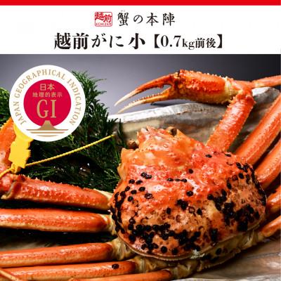 ふるさと納税 越前町 冬の日本海の味　浜茹で【越前がに　小　0.7kg前後】12月発送