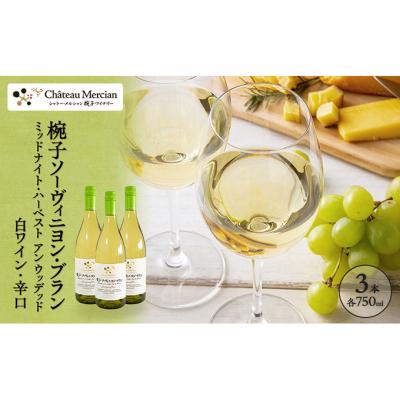 ふるさと納税 上田市 椀子ソーヴィニヨン・ブランミッドナイト・ハーベストアンウッデッド 750ml3本[54041148]