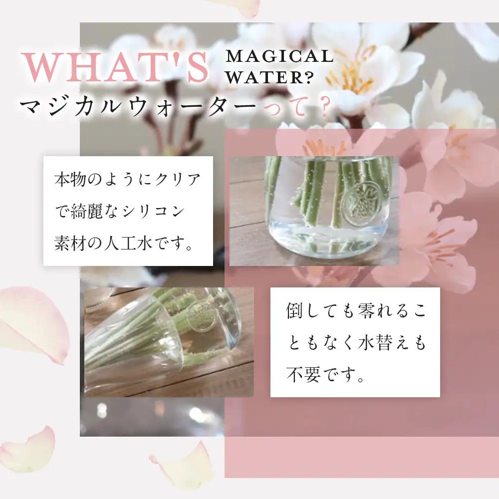 新春　淡雪桜　さくら　魔法の水　マジカルウォーター『淡雪』