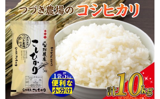 【白米】 令和7年産 つづき農場のコシヒカリ 10kg ｜ コシヒカリ 白米 令和7年産 ごはん 炊き立て 甘み ふっくら 米 お取り寄せ 主食 食卓 お弁当 産直米 日本米 愛知県 阿久比町