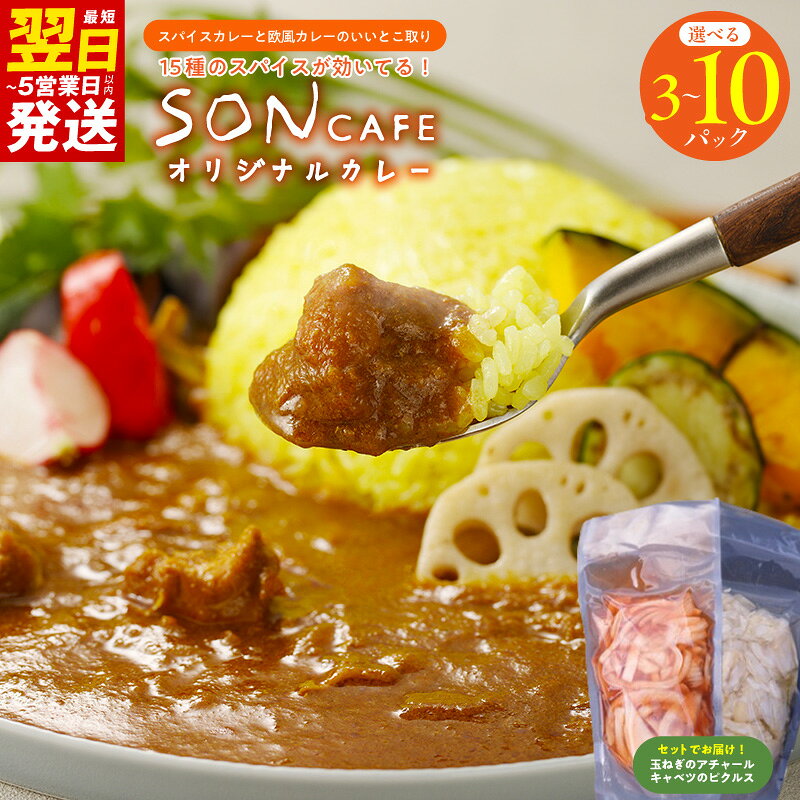 【ふるさと納税】15種スパイスを使用した SONカフェ 特製カレー セット いずみピクルス NSW 選べる 内容量 オリジナルカレー 600g / 1000g / 2000g 玉ねぎのアチャール キャベツのピクルス カレー 最短 翌日発送 5営業日 泉佐野市 送料無料 年内発送