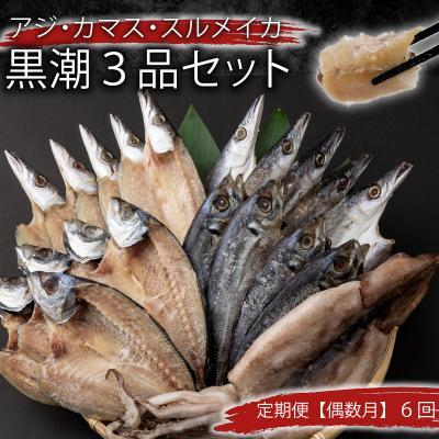 ふるさと納税 室戸市 【定期便 偶数月6回】 干物 黒潮セット (アジ・カマス・スルメイカ)詰め合わせセット