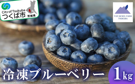 茨城県つくば市産 冷凍ブルーベリー　1kg【ブルーベリー 国産 ベリー スイーツ トッピング 栄養 ジャム 果実 果物 パンケーキ】