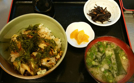 お食事券 静岡県 舟戸の番屋 1500円分 魚 魚介 魚介類 定食 食事 食事券 チケット クーポン 割引券 バナナワニ園 バガテル公園 静岡 河津 河津町