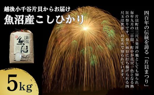 【令和7年産】魚沼産コシヒカリ5kg 世界一の四尺玉の町片貝町からお届け 白米 魚沼産 新潟県産 精米 米萬商店 | 新潟県産 コシヒカリ お米 米 おこめ こめ コメ こしひかり 魚沼産 ブランド米【0002-KM01-03】