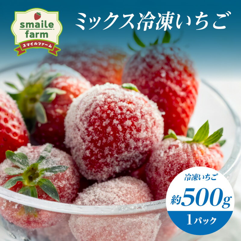 【ふるさと納税】スマイルファーム ミックス冷凍いちご 約500g FAF-0047