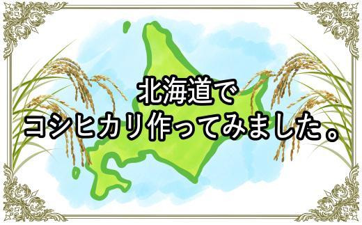 
【令和5年産】伊藤農園の特別栽培米コシヒカリ　精米（１０ｋｇ）【定期便５ヶ月】
