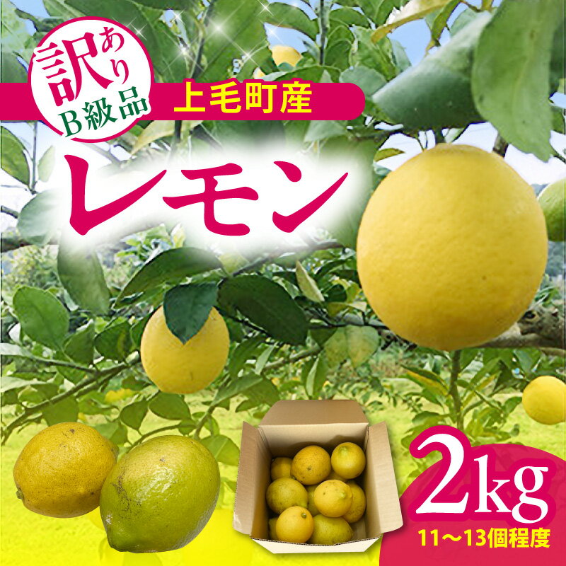 【ふるさと納税】上毛町産 レモン 訳あり B級品 2kg 上毛レモン 国産 種 少ない 酸味 強い 爽やか 香り 果汁 搾汁 アルコール ジュース 相性がいい お菓子 加工品 料理 飲み物 自宅用 家庭用 お取り寄せ 福岡県 上毛町 送料無料