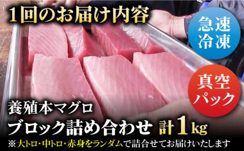 【全12回定期便】本マグロ (養殖) ブロック 詰合せ 計12kg (1kg×12回) 刺身 養殖 鮪 まぐろ クロマグロ 中トロ 赤身 柵 刺身 寿司 真空パック 急速冷凍 【奥浦海鮮直売所】 [P