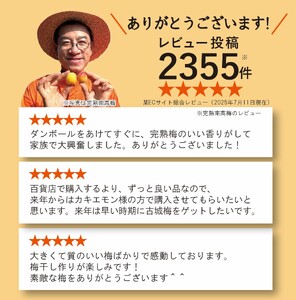 南高梅 青梅 約3kg (＋保証100g)【訳あり】 サイズ不揃い カキエモン農園【BX-kkem012】