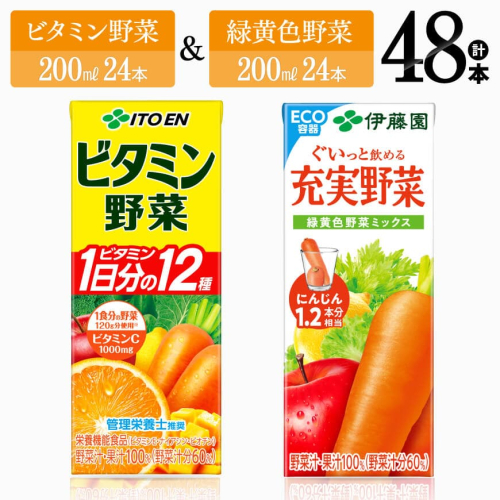 伊藤園 ビタミン野菜(紙)24本＋緑黄色野菜(紙)24本 【 飲料類 野菜 緑黄色野菜 ビタミン野菜 ジュース セット 詰め合わせ 飲みもの 】