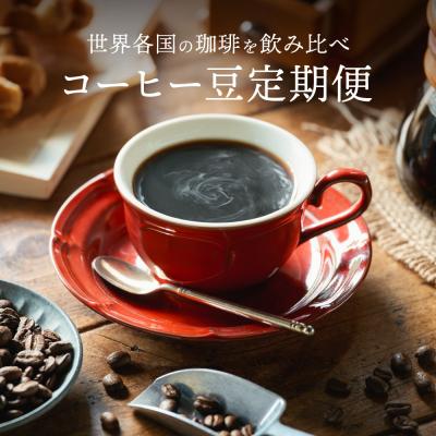 ふるさと納税 関市 【定期便】カフェ・アダチ 厳選ストレートコーヒー豆 毎月100g×6ヶ月 |  | 03