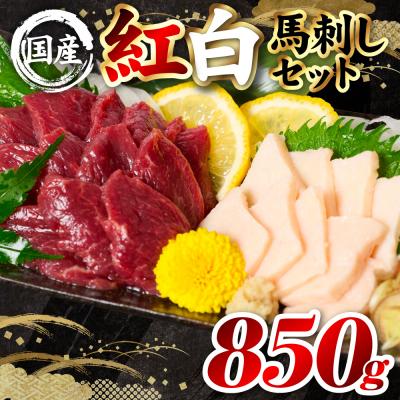 ふるさと納税 八代市 国産 熊本肥育 紅白馬刺しセット 合計850g (赤身700g・コウネ150g)_298-6818